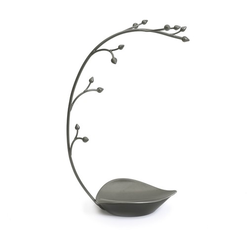 Umbra schmuckbaum orchid - umbra,